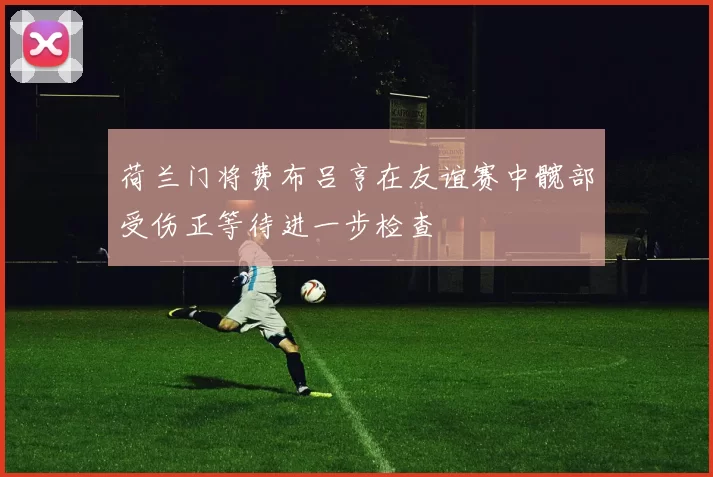 荷兰门将费布吕亨在友谊赛中髋部受伤正等待进一步检查